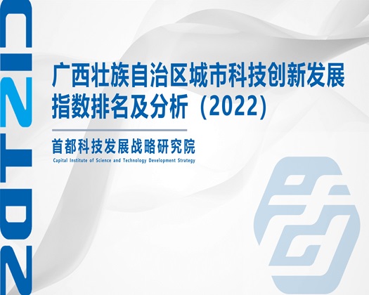 巨乳少妇被艹烂视频【成果发布】广西壮族自治区城市科技创新发展指数排名及分析（2022）